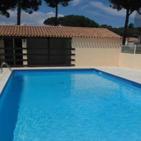 Apt T2/4 Pers/ Rez De Jardin\Pinede\Piscine 阿格德 外观 照片
